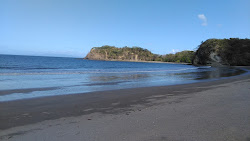 Guacamaya Beach'in fotoğrafı #43 ile birlikte