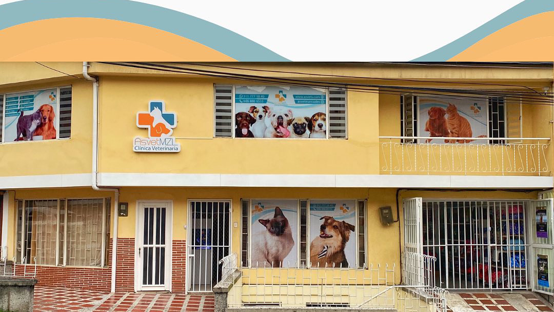 Asvet MZL Clínica Veterinaria