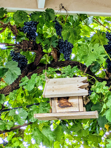 Produce Market «Washington Fruit Place At Barrett Orchards», reviews and photos, 1209 Pecks Canyon Rd, Yakima, WA 98908, USA