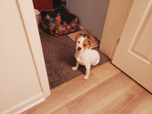 Tucker Veterinary Inc image