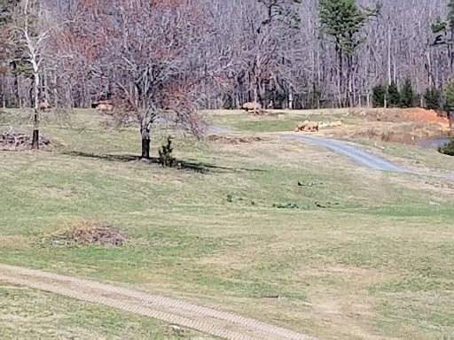 Zoo «North Carolina Zoo», reviews and photos, 4401 Zoo Pkwy, Asheboro, NC 27205, USA