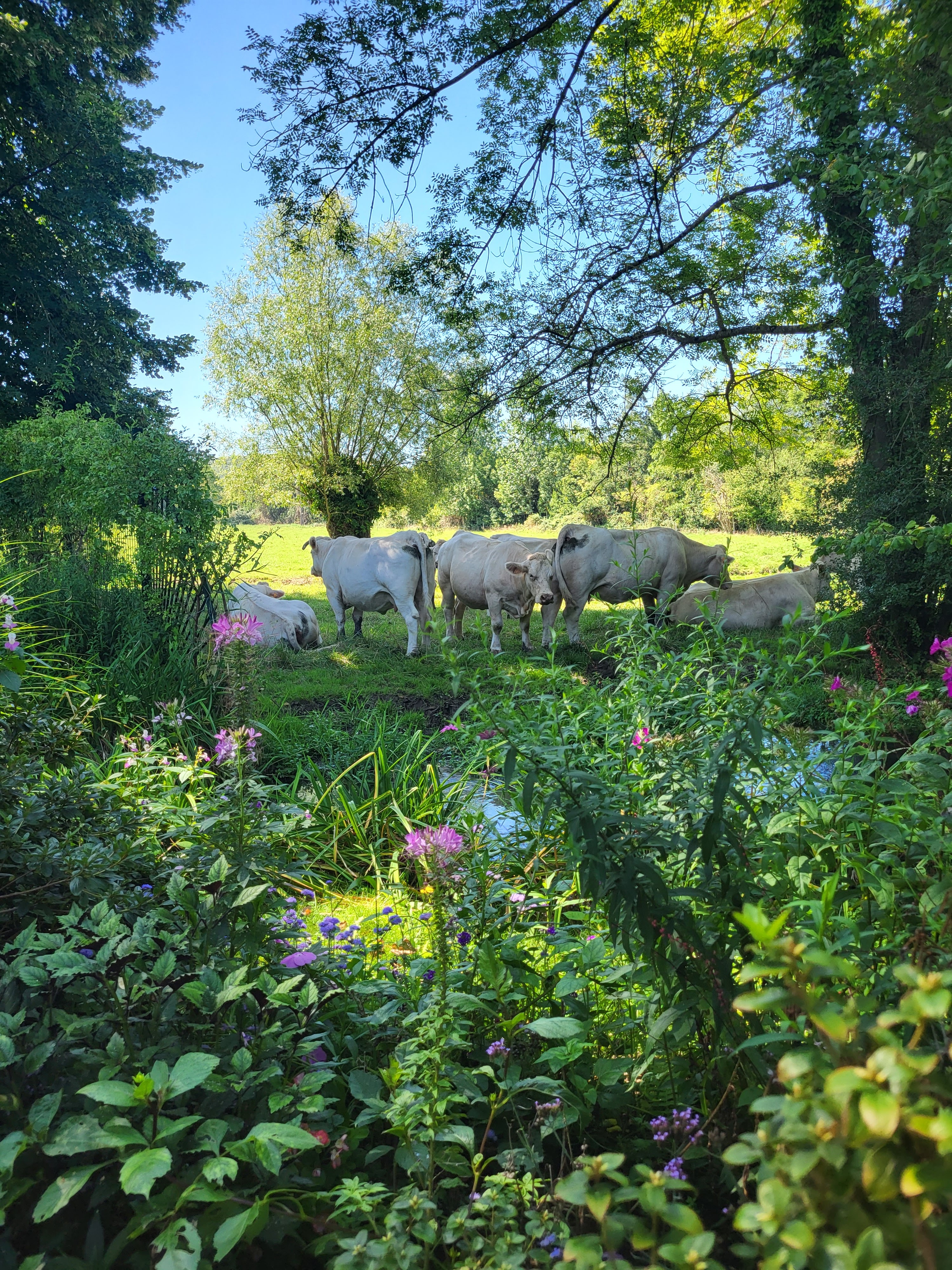 Photo n° 6 de l'avis de Virginie.a fait le 20/08/2023 à 15:52