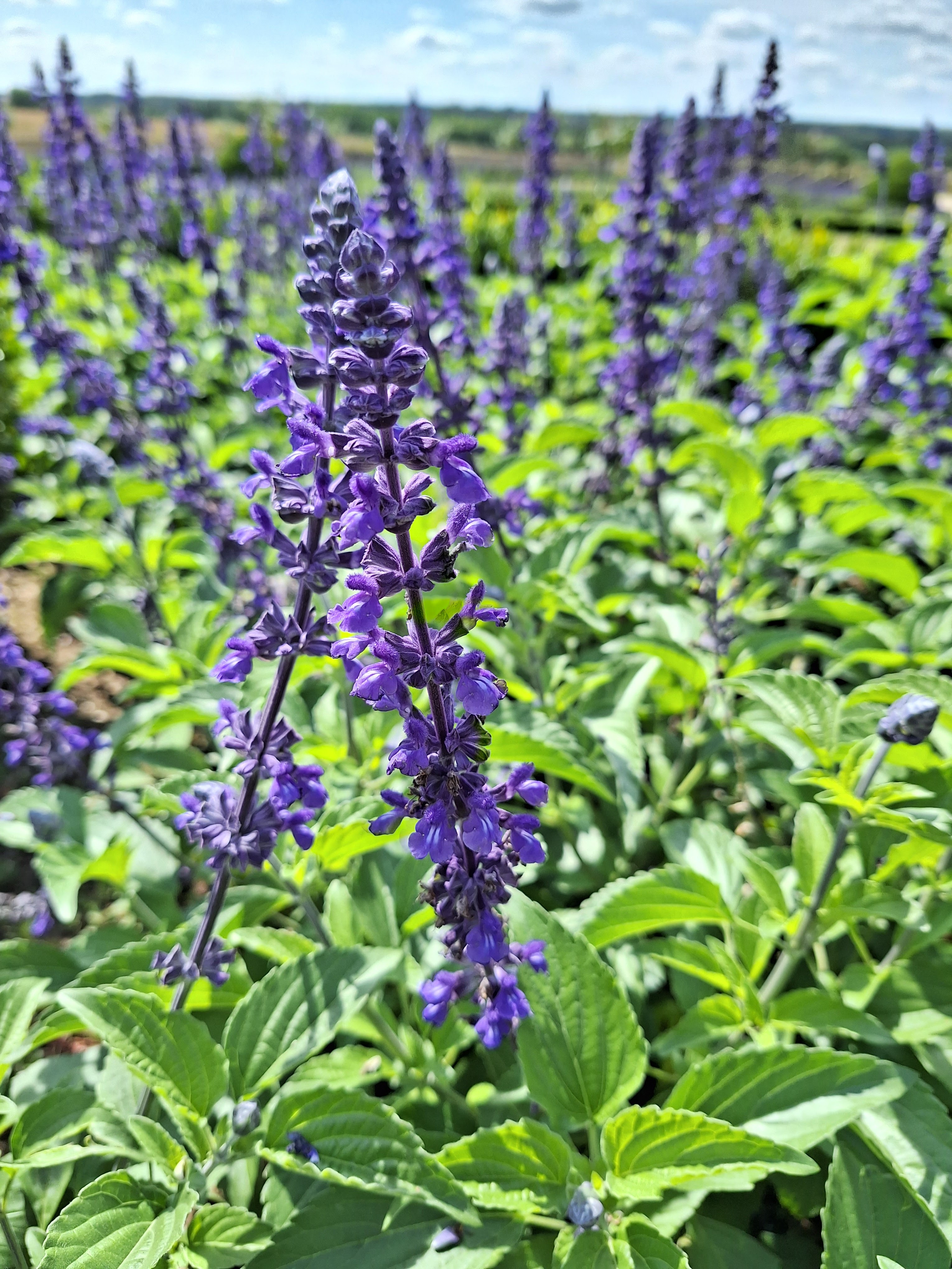 Photo n° 4 de l'avis de Rolf.a fait le 01/08/2023 à 07:27