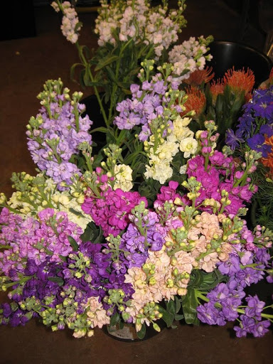 Florist «Best Wishes Floral», reviews and photos, 689 Winnetka Ave N, Golden Valley, MN 55427, USA