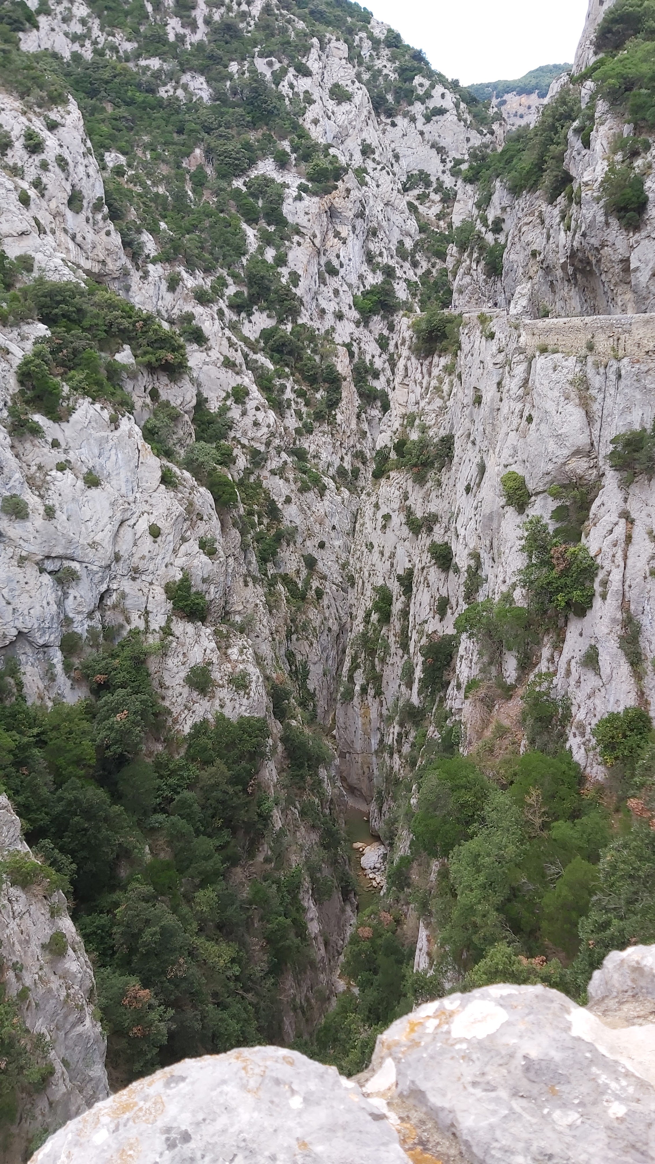 Photo n° 5 de l'avis de Jean-baptiste.r fait le 13/07/2020 à 16:14