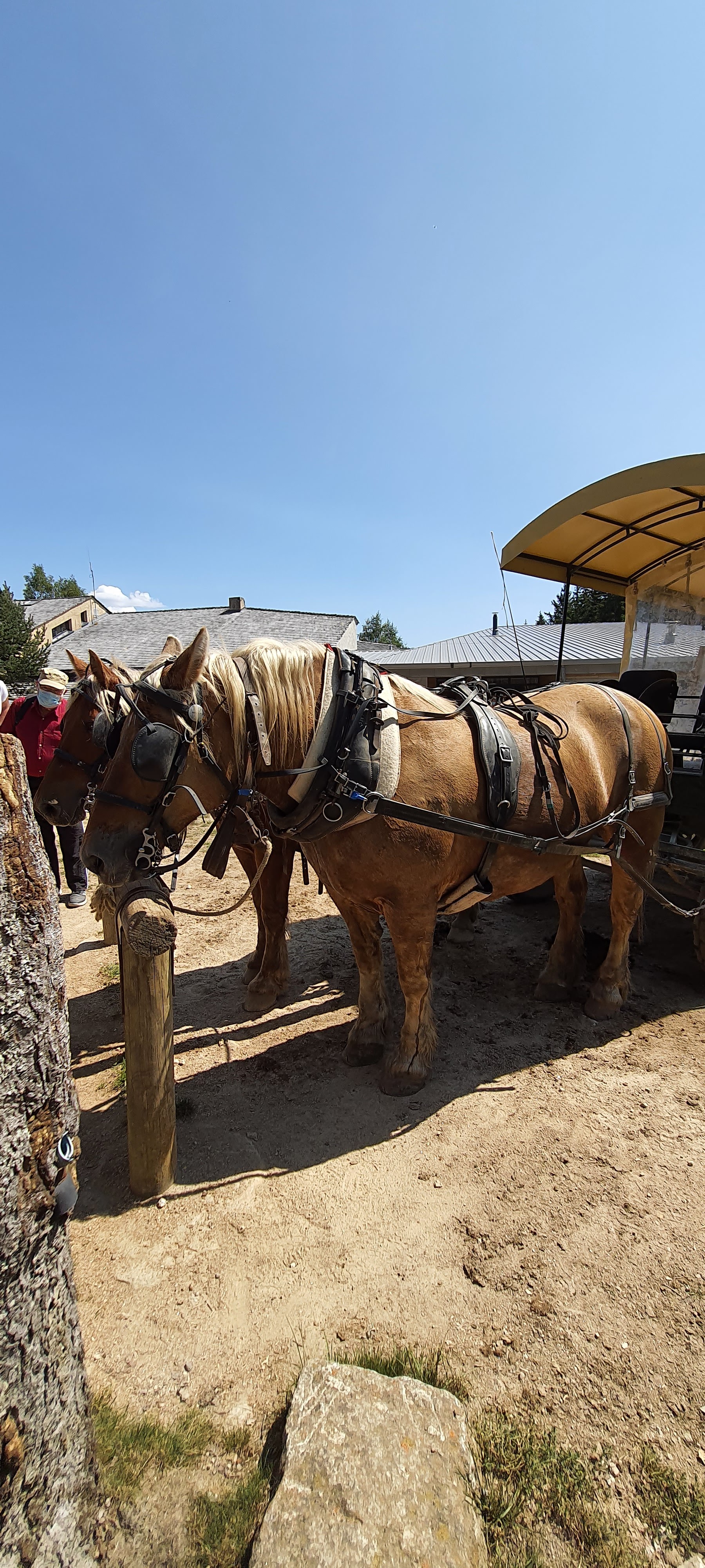 Photo n° 4 de l'avis de Benjamin.o fait le 22/08/2021 à 17:09