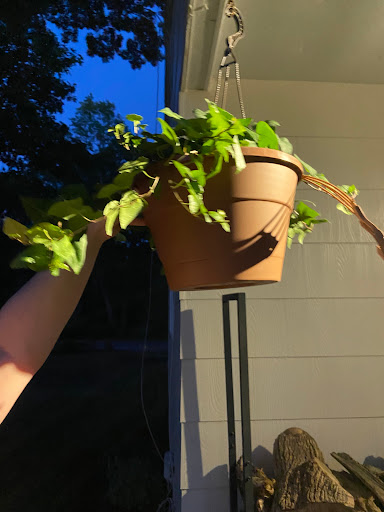 Home Improvement Store «The Home Depot», reviews and photos, 1149 Hingham St, Rockland, MA 02370, USA