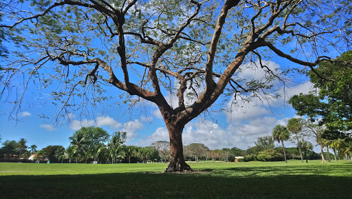 Golf Course «Granada Golf Course», reviews and photos, 2001 Granada Blvd, Coral Gables, FL 33134, USA