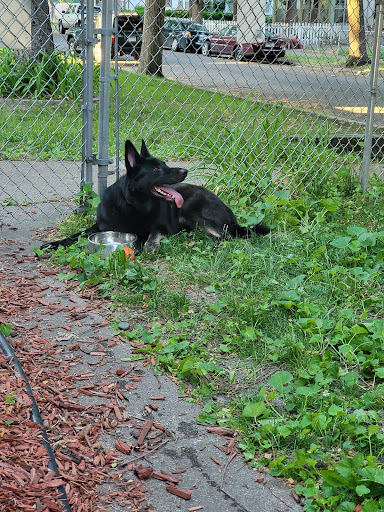 Pet Supply Store «Pet Supplies Plus», reviews and photos, 345 Willow Bend, Crystal, MN 55428, USA