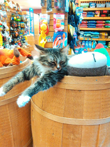 Pet Supply Store «The Pet Emporium», reviews and photos, 2394 E Stadium Blvd, Ann Arbor, MI 48104, USA