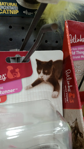 Pet Supply Store «Petco Animal Supplies», reviews and photos, 4345 U.S. 9, Freehold, NJ 07728, USA