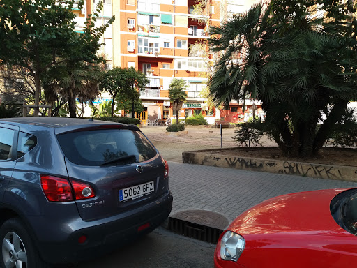 Centro Valenciano Veterinario en Valencia