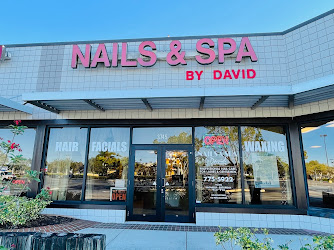 Nails & Spa By David