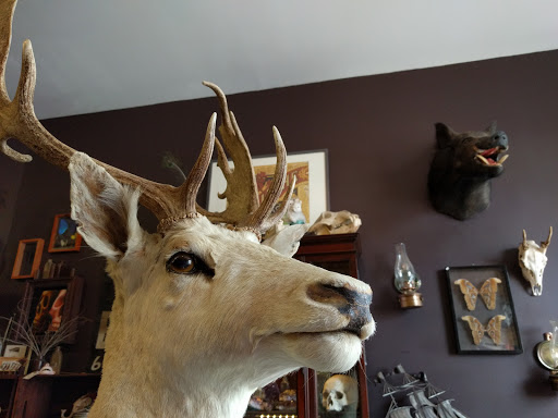 Tattoo Shop «Triple Diamond Tattoo», reviews and photos, 257 3rd Ave, Brooklyn, NY 11215, USA