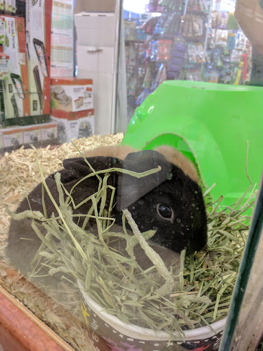 Pet Supply Store «Panhandle Pet Supply», reviews and photos, 3661 N Monroe St, Tallahassee, FL 32303, USA