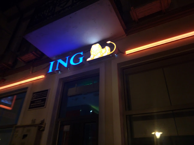 ING Bank - Bancă
