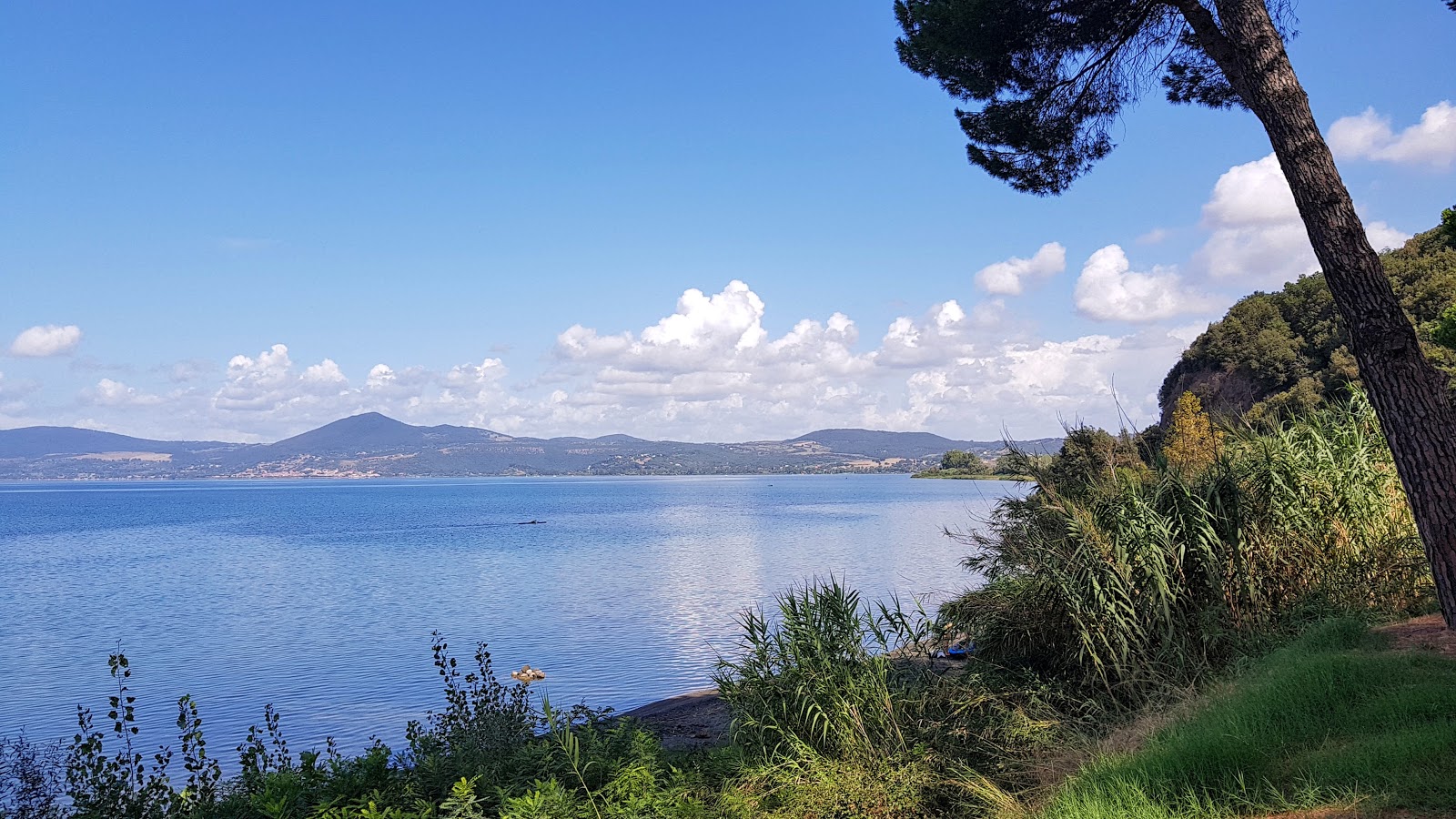 Beach Via del Sasso的照片 具有非常干净级别的清洁度