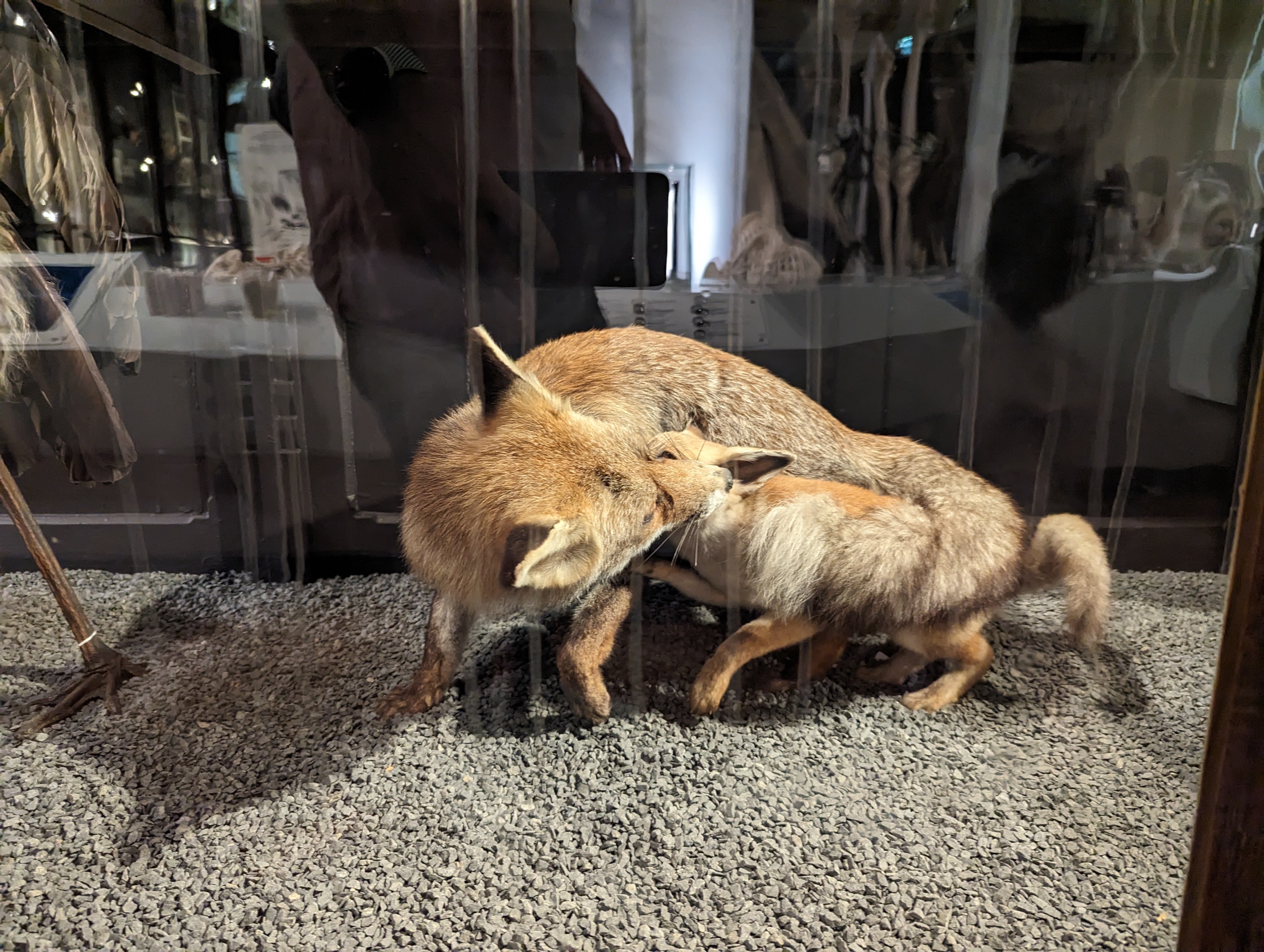 Photo n° 7 de l'avis de Aurelien.m fait le 09/09/2023 à 23:32