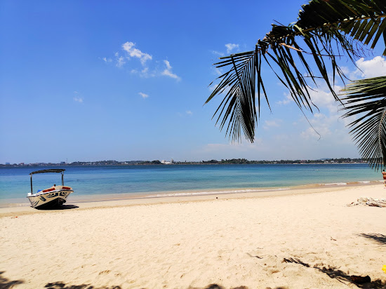 Dschungel Strand