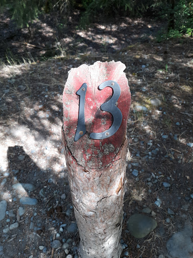 Public Golf Course «White River Disc Golf Course», reviews and photos, 2401 Stuck River Dr, Auburn, WA 98092, USA