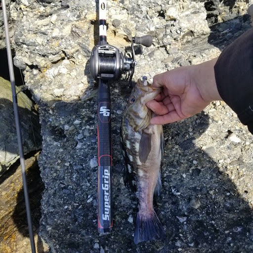 Sav-On Tackle image