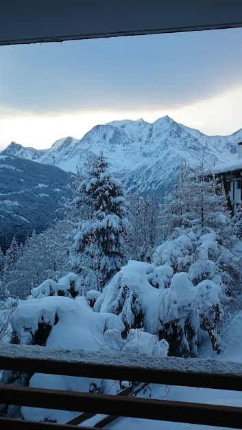 Copro Bois de la Christaz à Saint-Gervais-les-Bains