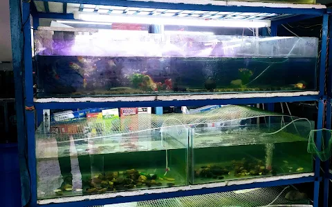 Sha Aquarium image
