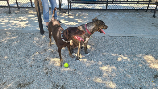 Park «Danehy Park», reviews and photos, 99 Sherman St, Cambridge, MA 02138, USA