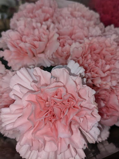 Health Food Store «Sprouts Farmers Market», reviews and photos, 33650 US Hwy 19 N, Palm Harbor, FL 34684, USA