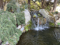 Scape Goats Home and Garden - Photo 7 - Car repair in , Medford