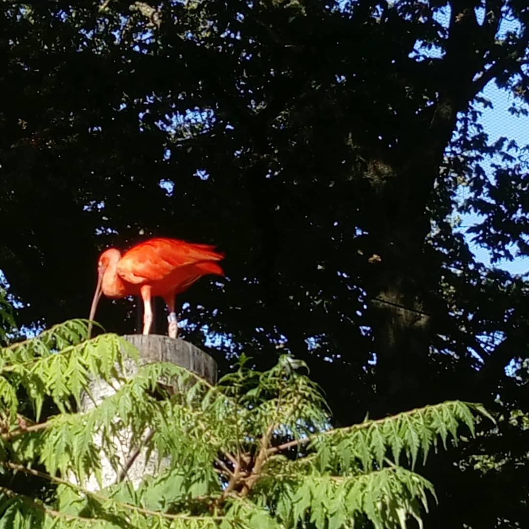 Photo n° 1 de l'avis de Alison.e fait le 07/08/2020 à 12:23