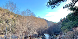 Grasshopper Point Swimming & Picnic Area