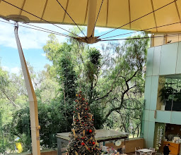 MOYO San Jerónimo photo