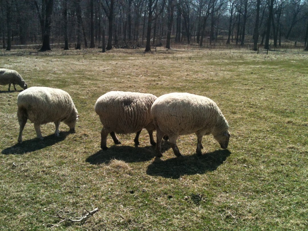 Ryerson Conservation Area