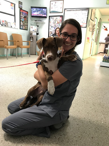 Palms West Veterinary Hospital
