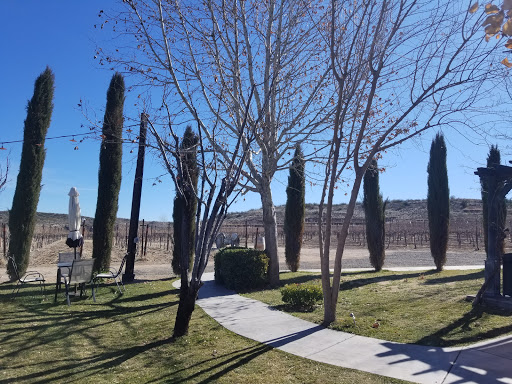 Vineyard «Alcantara Vineyards and Winery», reviews and photos, 3445 South Grapevine Way, Cottonwood, AZ 86326, USA