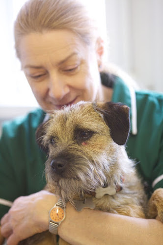 Reviews of Park Veterinary Group in Leicester - Veterinarian