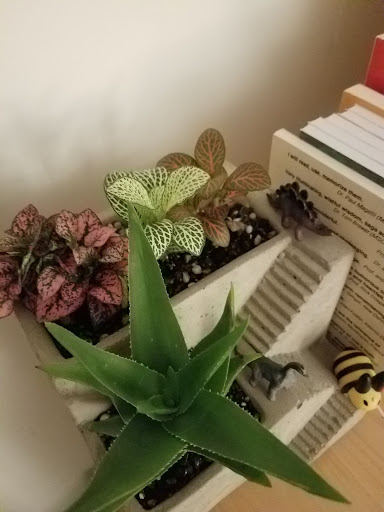 Gift Shop «Wild Flowers», reviews and photos, 1201 Madison St, Denver, CO 80206, USA