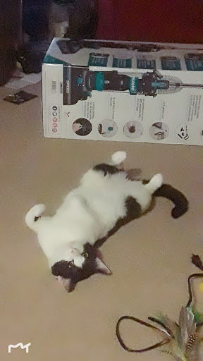 Pet Supply Store «Petco Animal Supplies», reviews and photos, 27111 167th Pl SE #113, Covington, WA 98042, USA