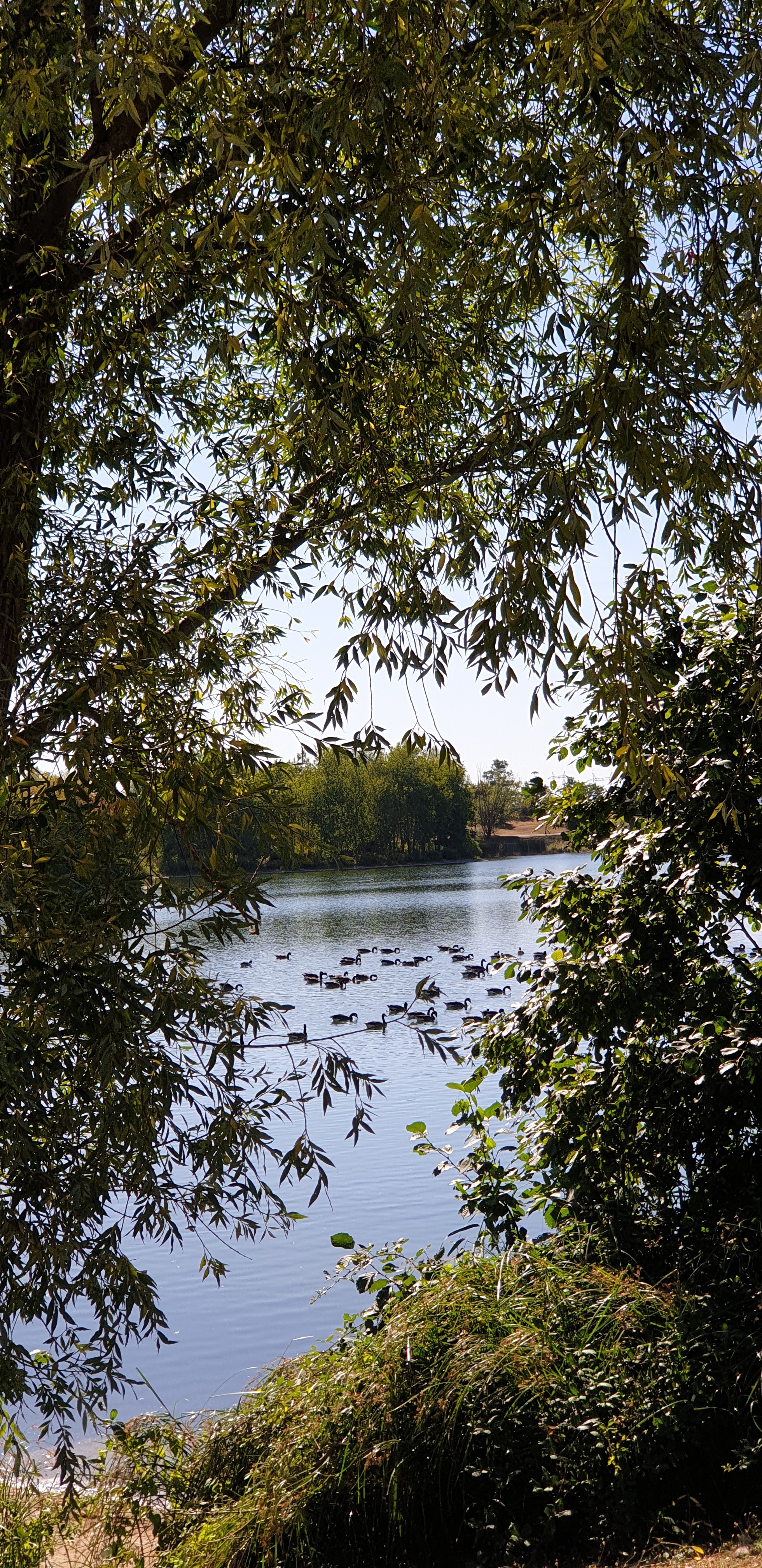 Photo n° 4 de l'avis de Oumar.o fait le 29/07/2020 à 16:42
