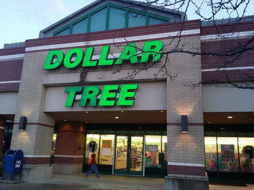 Dollar Store «Dollar Tree», reviews and photos, 1243 E Higgins Rd, Schaumburg, IL 60173, USA