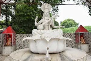 Saraswati Koop image