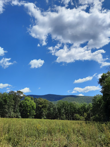 Horseback Riding Service «Secret Passage Ranch», reviews and photos, 321 Spring Mountain Way, Fort Valley, VA 22652, USA