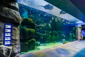 Miyajima Public Aquarium image