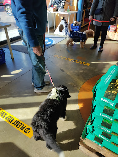 Pet Store «Super Dogs & Cats», reviews and photos, 380 Elm St, Biddeford, ME 04005, USA