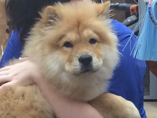 Pet Supply Store «PetSmart», reviews and photos, 1751 N Central Expy, McKinney, TX 75070, USA