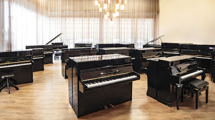 Bol Pianos & Grand Pianos B.V.