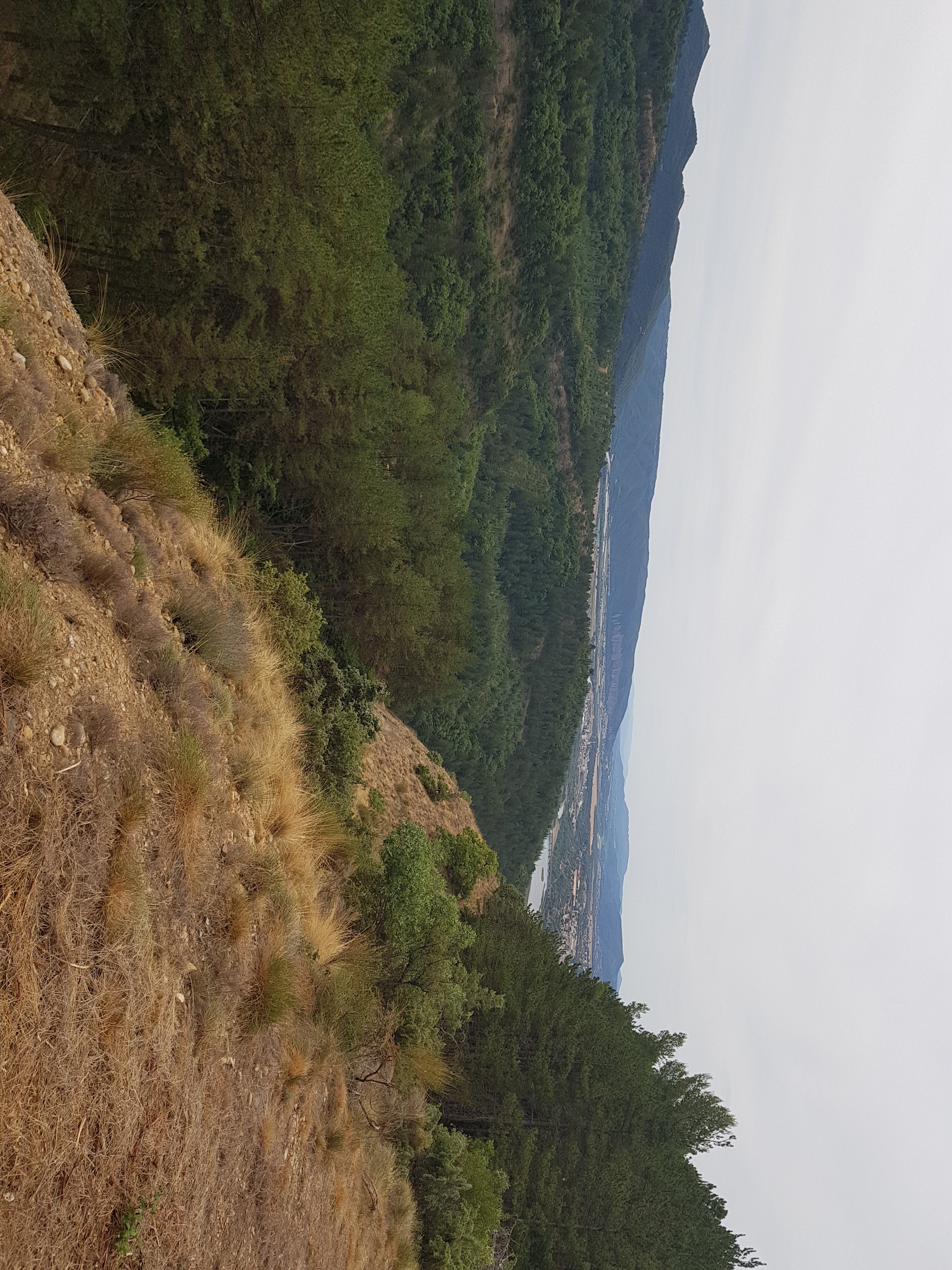 Photo n° 2 de l'avis de Christophe.e fait le 15/08/2019 à 20:12