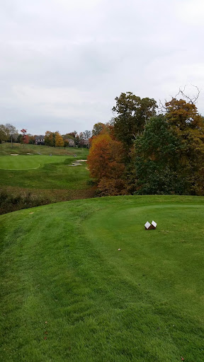 Golf Course «Diamond Run Golf Club», reviews and photos, 132 Laurel Oak Dr, Sewickley, PA 15143, USA