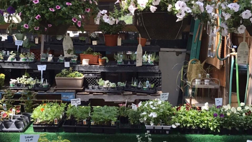 Florist «Sunshine Flowers», reviews and photos, 4509 Rainbow Blvd, Kansas City, KS 66103, USA